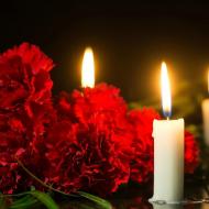 Flowers-7_Red_Carnations_with_Candles_gKQaTEb.jpg