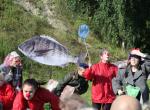 IMG_8850.jpg